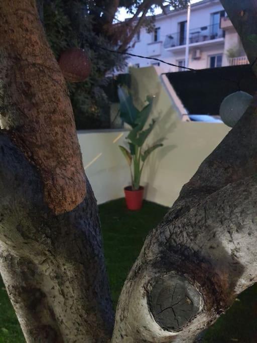 Superbe Appartement Avec Jacuzzi Et Exterieur Perpignan Kültér fotó